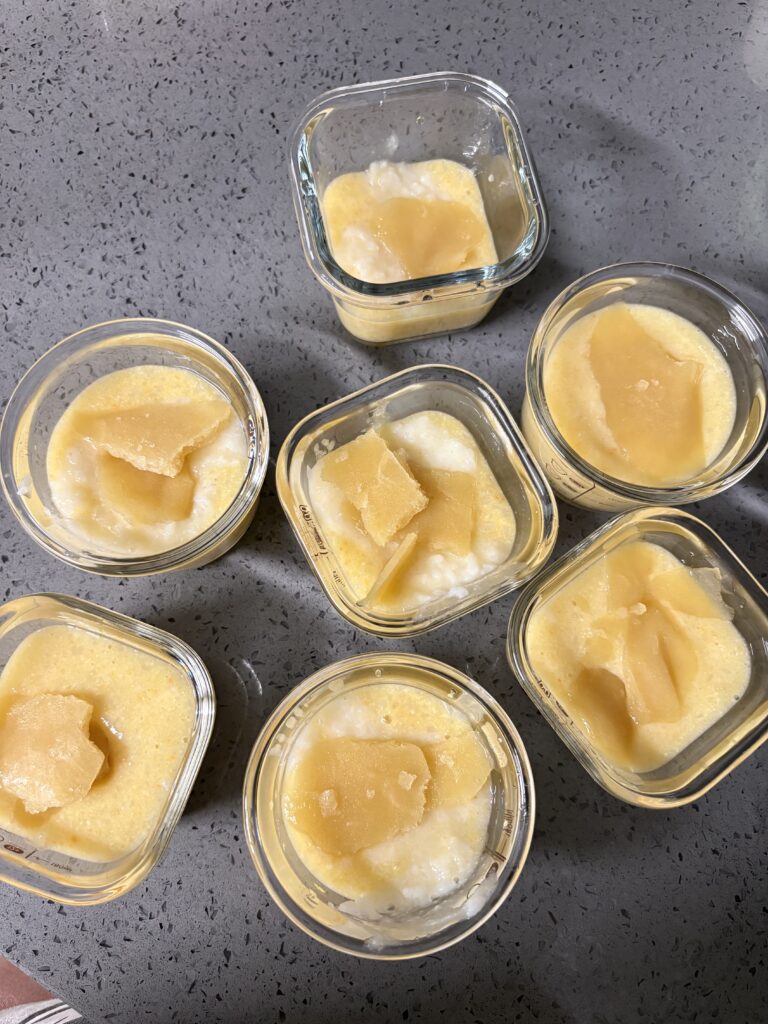 마이쿠커 중기 이유식 닭가슴살고구마사과죽